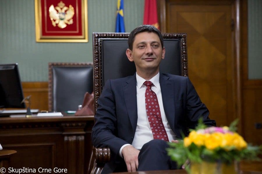 Pajović na godišnjem zasjedanju Parlamentarne skupštine OEBS-a Pajović na godišnjem zasjedanju Parlamentarne skupštine OEBS-a