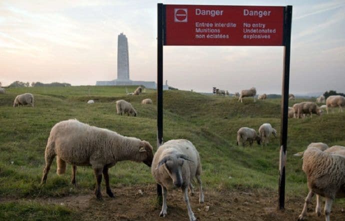 CRVENA ZONA: Mjesto na koje još vijekovima neće kročiti ljudska noga CRVENA ZONA: Mjesto na koje još vijekovima neće kročiti ljudska noga