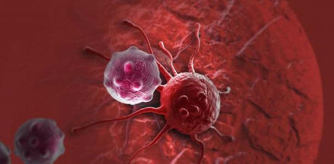 Revolucionarno otkriće: Masti su izvor energije raka Revolucionarno otkriće: Masti su izvor energije raka