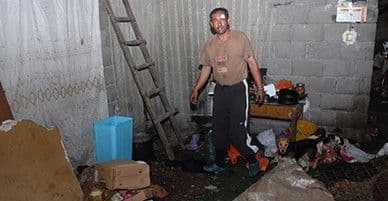 NIKŠIĆ: Živi sa čoporom pasa lutalica NIKŠIĆ: Živi sa čoporom pasa lutalica