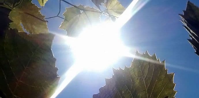 Pogledajte kakvo nas vrijeme očekuje sjutra Pogledajte kakvo nas vrijeme očekuje sjutra