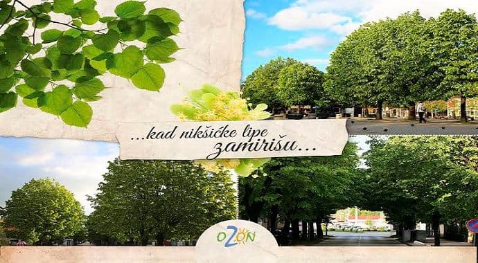 OZON: Ograđivanje Trga Slobode pokušaj ubijanja svih građanskih sloboda u Nikšiću OZON: Ograđivanje Trga Slobode pokušaj ubijanja svih građanskih sloboda u Nikšiću