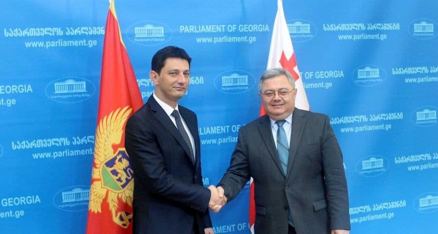 PAJOVIĆ U GRUZIJI: Naše mjesto je na zapadu PAJOVIĆ U GRUZIJI: Naše mjesto je na zapadu