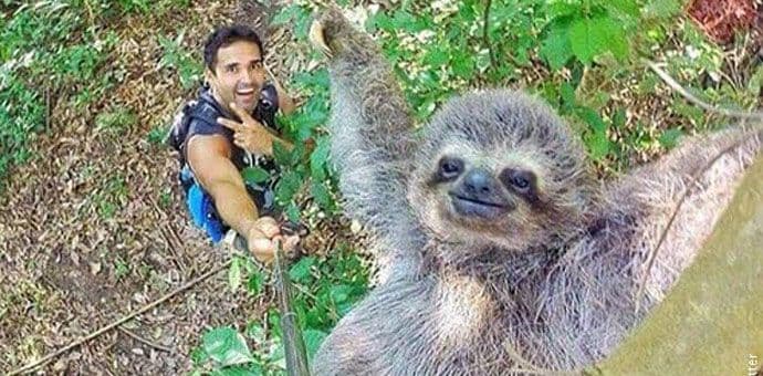 Najbolji selfi svih vremena? Najbolji selfi svih vremena?