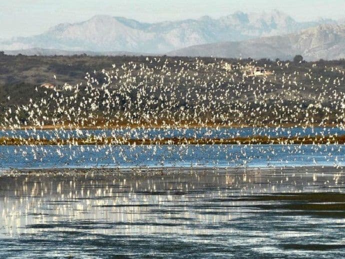 Solana: Ponude za zakup narednih 20 dana Solana: Ponude za zakup narednih 20 dana