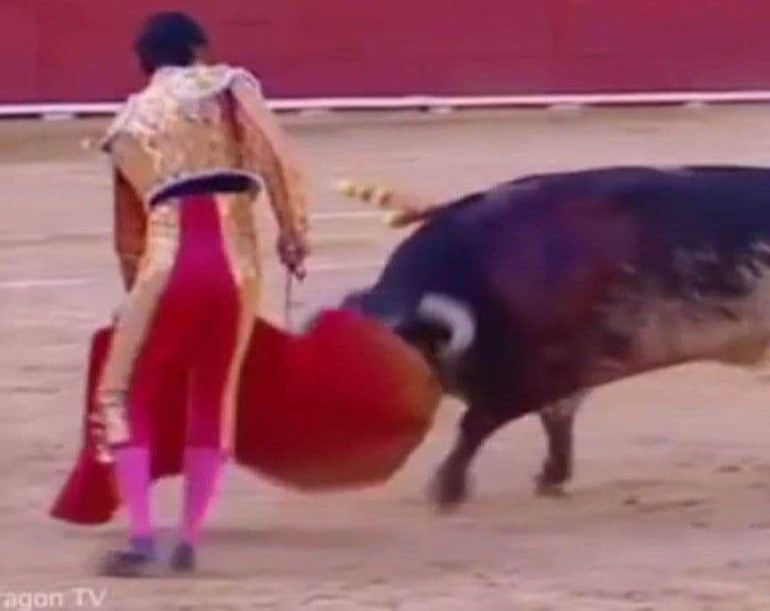 Španija: Bik ubio matadora u koridi Španija: Bik ubio matadora u koridi