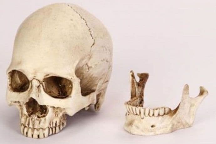 eBay zabranio aukcije ljudskih dijelova tijela eBay zabranio aukcije ljudskih dijelova tijela