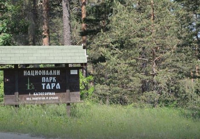 Zalutala u šumi pa zaspala u medveđoj jazbini Zalutala u šumi pa zaspala u medveđoj jazbini