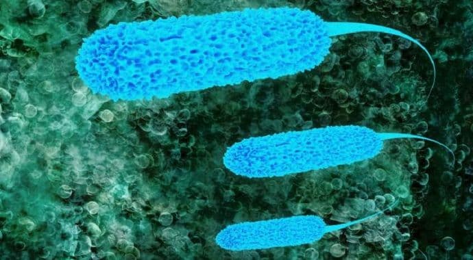 Ovo ubija mnoge bakterije naročito ešerihiju koli, a mogu da ga koriste i djeca Ovo ubija mnoge bakterije naročito ešerihiju koli, a mogu da ga koriste i djeca