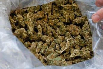 I maloljetnici među dilerima droge I maloljetnici među dilerima droge