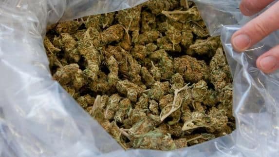 Albanac uhapšen na graničnom prelazu sa osam kilograma marihuane Albanac uhapšen na graničnom prelazu sa osam kilograma marihuane