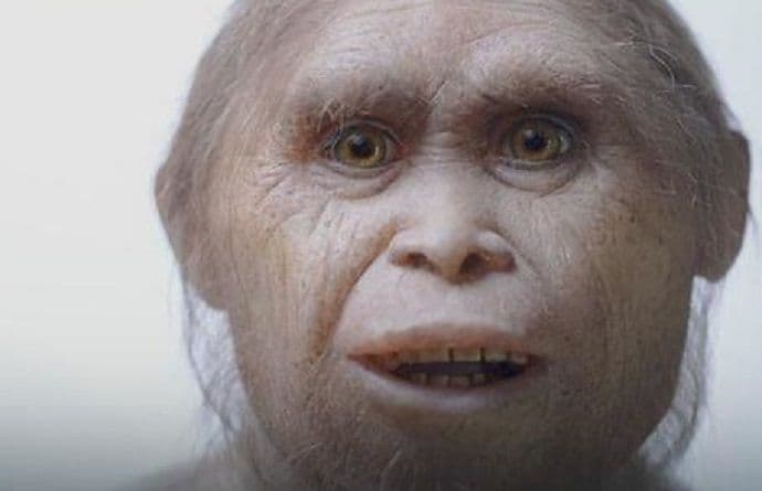 Naučnici: Hobite su izbrisali ljudi Naučnici: Hobite su izbrisali ljudi