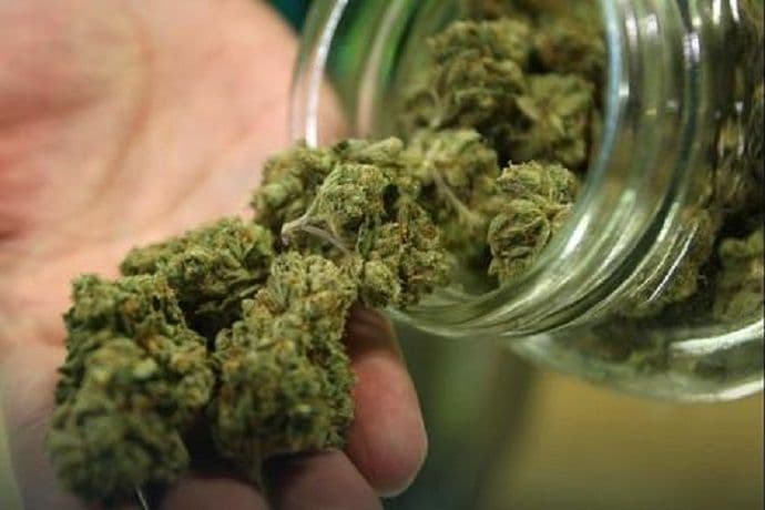 Marihuana pronađena u vodovodu Marihuana pronađena u vodovodu