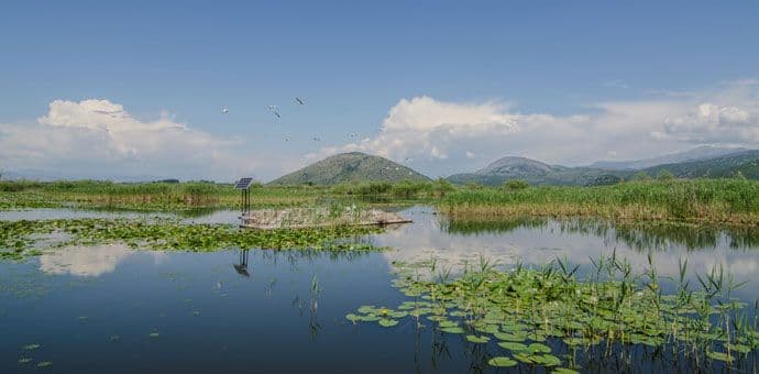 Predsjednik Skupštine sjutra na Skadarskom jezeru Predsjednik Skupštine sjutra na Skadarskom jezeru