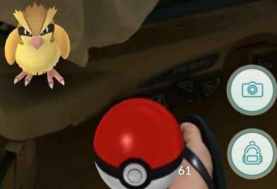 Danska: Mladić poginuo u lovu na pokemone Danska: Mladić poginuo u lovu na pokemone