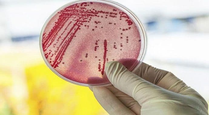 Nakon tri decenije naučnici pronašli novi antibiotik Nakon tri decenije naučnici pronašli novi antibiotik