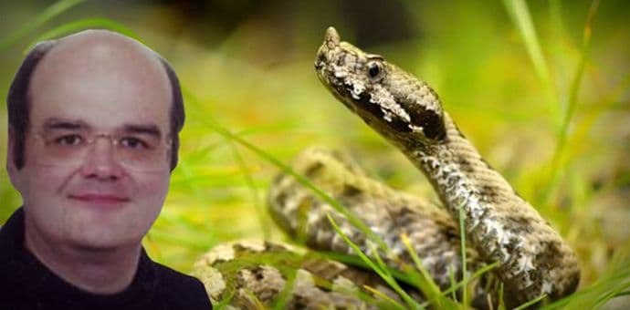 Hrvati strahuju od najezde zmija, stručnjak naveo najveće zablude o borbi s njima Hrvati strahuju od najezde zmija, stručnjak naveo najveće zablude o borbi s njima