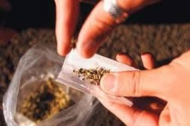 Šezdesetjednogodišnja Podgoričanka osumnjičena za dilovanje kokaina i marihuane Šezdesetjednogodišnja Podgoričanka osumnjičena za dilovanje kokaina i marihuane