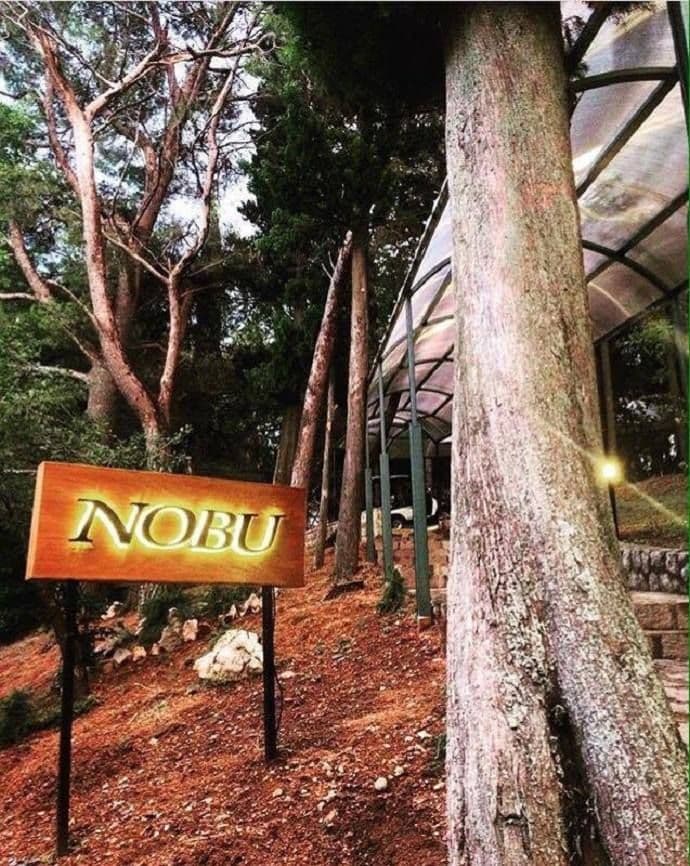 nobu1