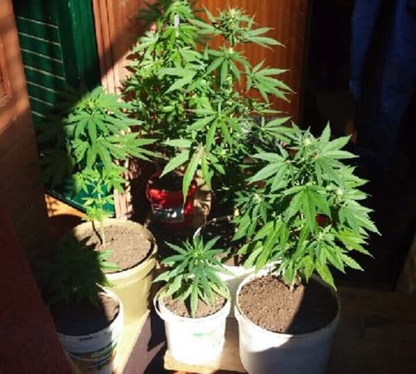 Uhapšen Branislav Mirković Uhapšen Branislav Mirković