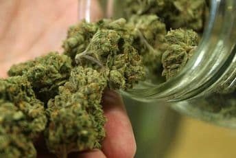 Ilinois 11. američka država koja je legalizovala marihuanu