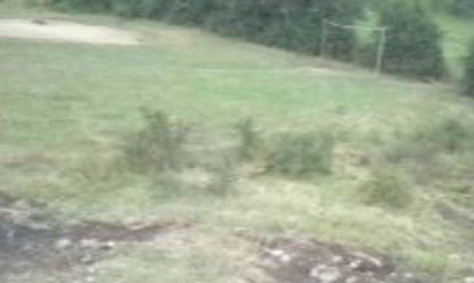 Mještani bjelopoljskih sela potpisuju peticiju: Traže iskopavanje oboljelih životinja Mještani bjelopoljskih sela potpisuju peticiju: Traže iskopavanje oboljelih životinja