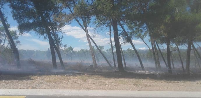 Požar u Podgorici: Gorio park na Murtovini Požar u Podgorici: Gorio park na Murtovini