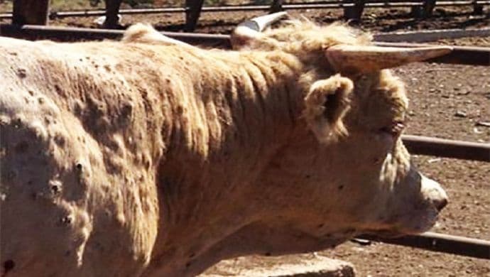 Uprava: Nema razloga za vanrednim stanjem Uprava: Nema razloga za vanrednim stanjem