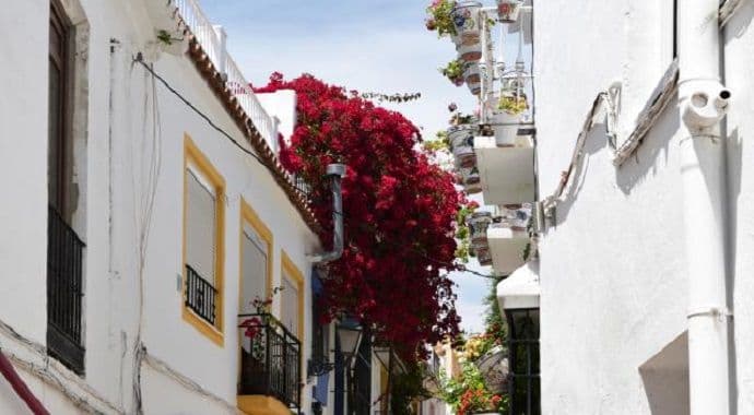 Svi hoće da se usele: Plata 1.200, a kirija 15 eura Svi hoće da se usele: Plata 1.200, a kirija 15 eura