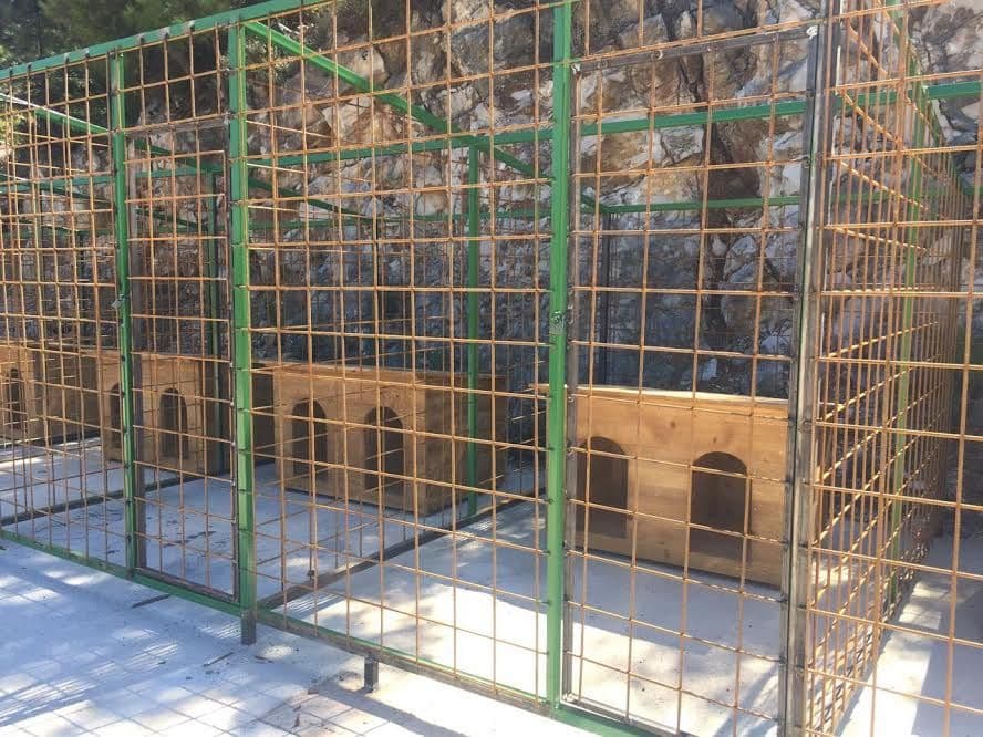 Opština Ulcinj je obezbjedila azil za pse lutalice Opština Ulcinj je obezbjedila azil za pse lutalice