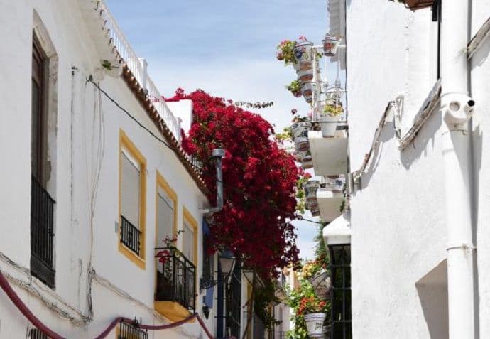 Svi hoće da se usele: Plata 1.200, a kirija 15 EUR Svi hoće da se usele: Plata 1.200, a kirija 15 EUR