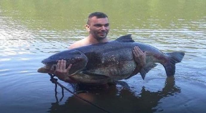 Ulov mjeseca: Mario uhvatio tolstolobika teškog 51.5 kilograma Ulov mjeseca: Mario uhvatio tolstolobika teškog 51.5 kilograma