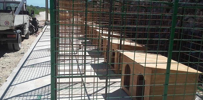 I Ulcinj konačno ima azil za pse I Ulcinj konačno ima azil za pse