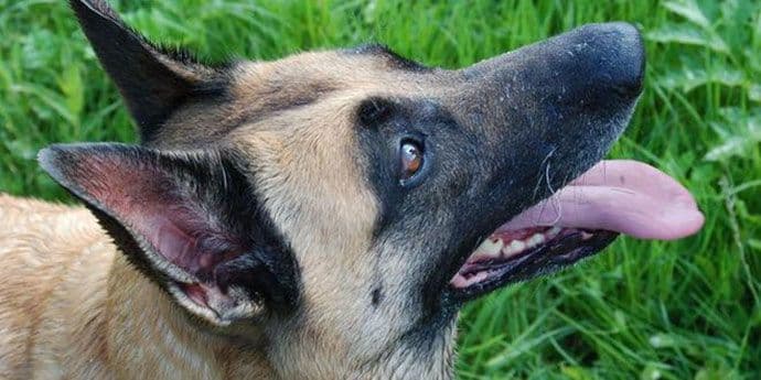 Amsterdam: Kod Albanaca 1,3 miliona eura i 13 kg kokaina Amsterdam: Kod Albanaca 1,3 miliona eura i 13 kg kokaina