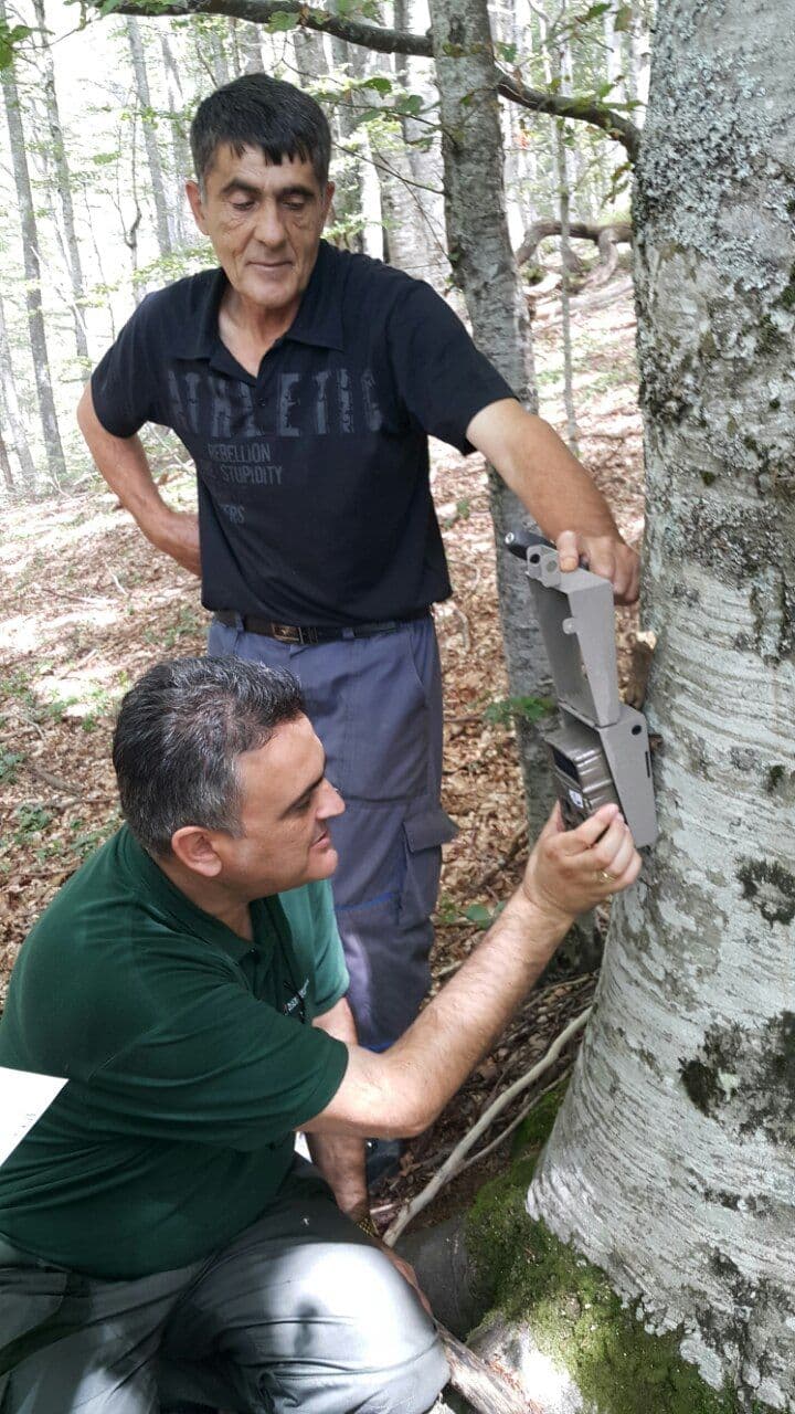Postavljene prve kamere zamke u NP Biogradska gora Postavljene prve kamere zamke u NP Biogradska gora