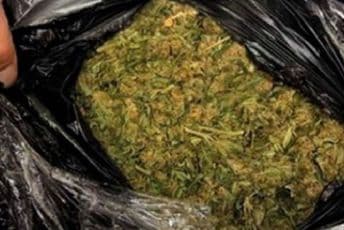 Na graničnom prelazu Dračenovac zaplijenjena veća količina skanka Na graničnom prelazu Dračenovac zaplijenjena veća količina skanka