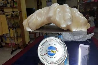 Siromašni ribar spavao na 100 miliona dolara! 
