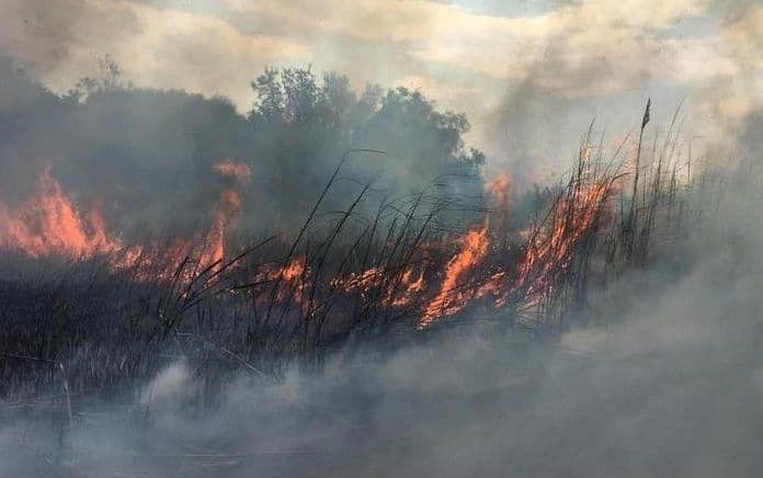Gorjelo u zaleđu Velike plaže Gorjelo u zaleđu Velike plaže