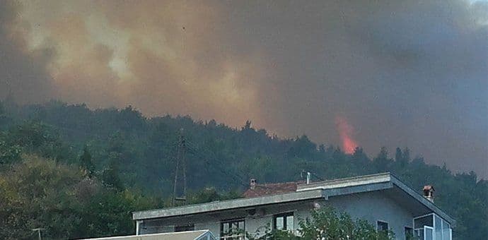 Selović: Požar u Ulcinju opet aktivan, stiže pomoć iz Srbije Selović: Požar u Ulcinju opet aktivan, stiže pomoć iz Srbije