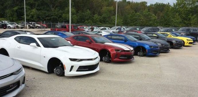 Lopovi "izuli" 48 automobila u Teksasu Lopovi "izuli" 48 automobila u Teksasu