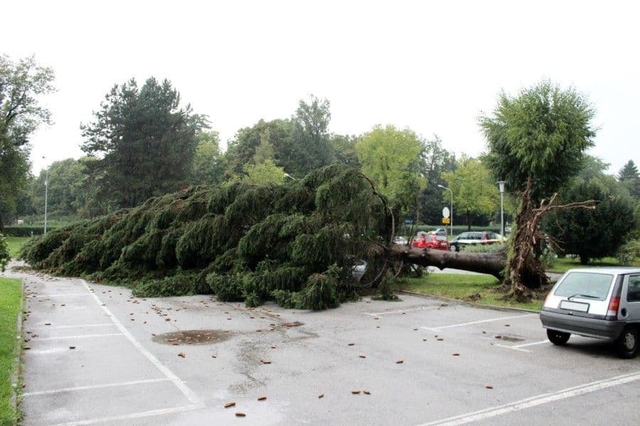 Oluja i nevrijeme u Sloveniji Oluja i nevrijeme u Sloveniji