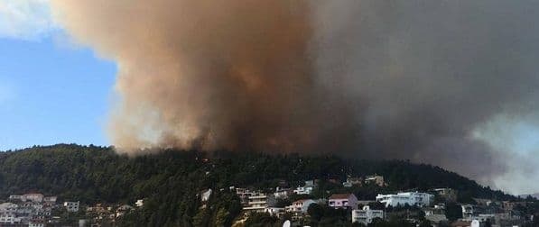 Ulcinj nakon požara: I decenija potrebna za obnovu šume Ulcinj nakon požara: I decenija potrebna za obnovu šume