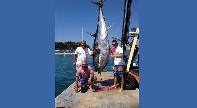 Majstorija Ozrena Božića: Ulovljena tuna od 340 kilograma Majstorija Ozrena Božića: Ulovljena tuna od 340 kilograma