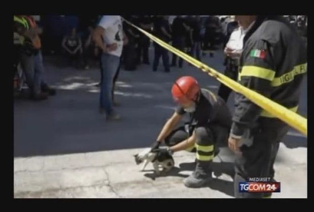 Mačka koja je potrošila nekoliko života: Spašena iz ruševina šest dana nakon zemljotresa u Italiji Mačka koja je potrošila nekoliko života: Spašena iz ruševina šest dana nakon zemljotresa u Italiji