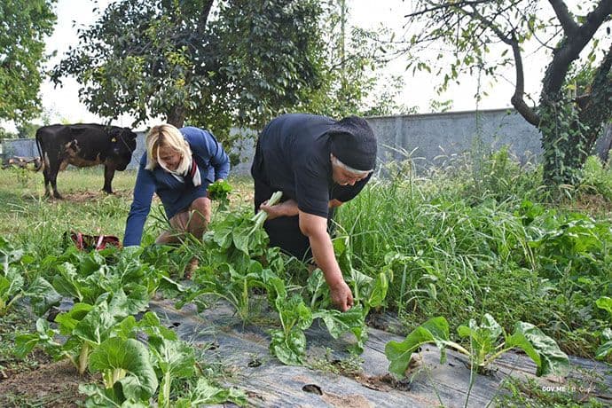 Jasavić u Golubovcima: Poljoprivreda razvojna šansa Jasavić u Golubovcima: Poljoprivreda razvojna šansa