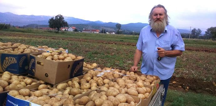 Nikšićki poljoprivrednici ogorčeni: Propada im krompir zbog jeftinog uvoza Nikšićki poljoprivrednici ogorčeni: Propada im krompir zbog jeftinog uvoza