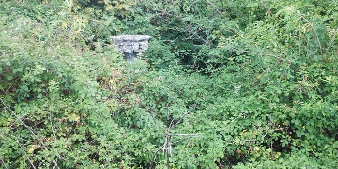 SAKRIVENO BLAGO: Kroz pustinju i prašumu do crkve Sv. Tome u Prčanju SAKRIVENO BLAGO: Kroz pustinju i prašumu do crkve Sv. Tome u Prčanju