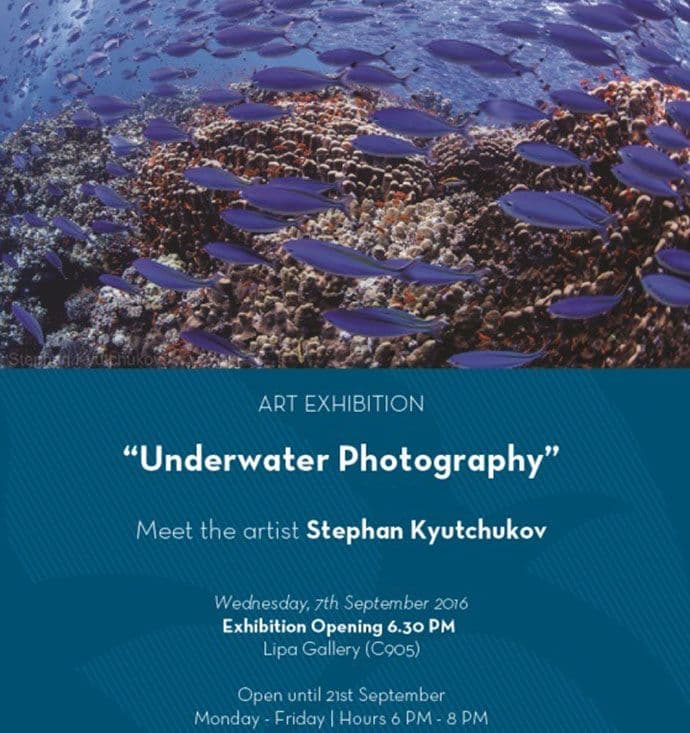 Luštica bay: Sjutra izložba „Podvodna fotografija“ Stefana Kjučukova Luštica bay: Sjutra izložba „Podvodna fotografija“ Stefana Kjučukova