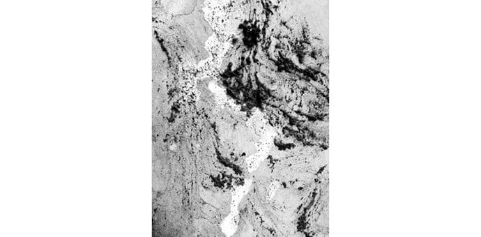 Počinje druga sezona galerije na otvorenom u Budvi Počinje druga sezona galerije na otvorenom u Budvi