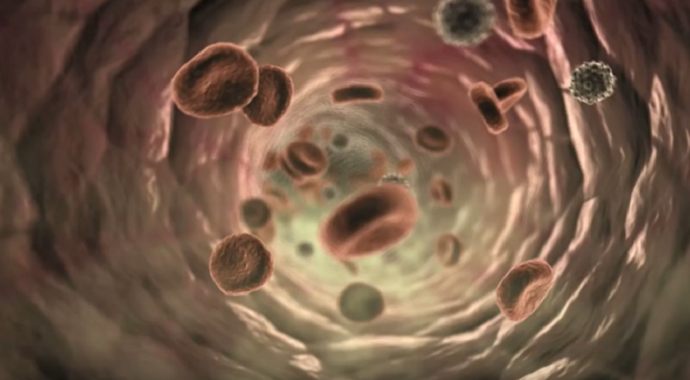 Naučnici razvili prototip robota koji pliva ljudskim venama Naučnici razvili prototip robota koji pliva ljudskim venama